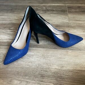 Elegant Blue and Black Women's Heels